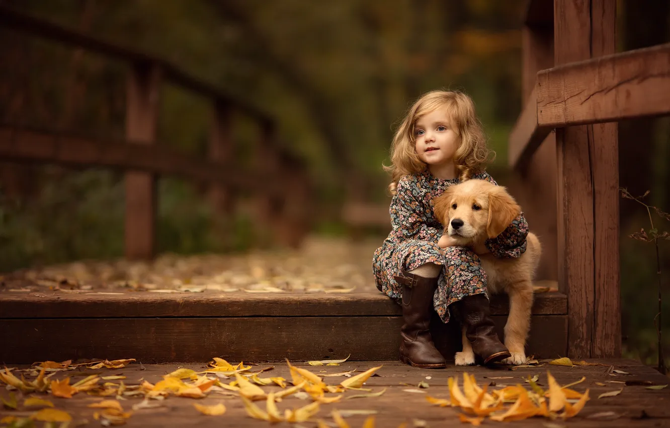 Фото обои осень, листья, мост, девочка, щенок, ретривер