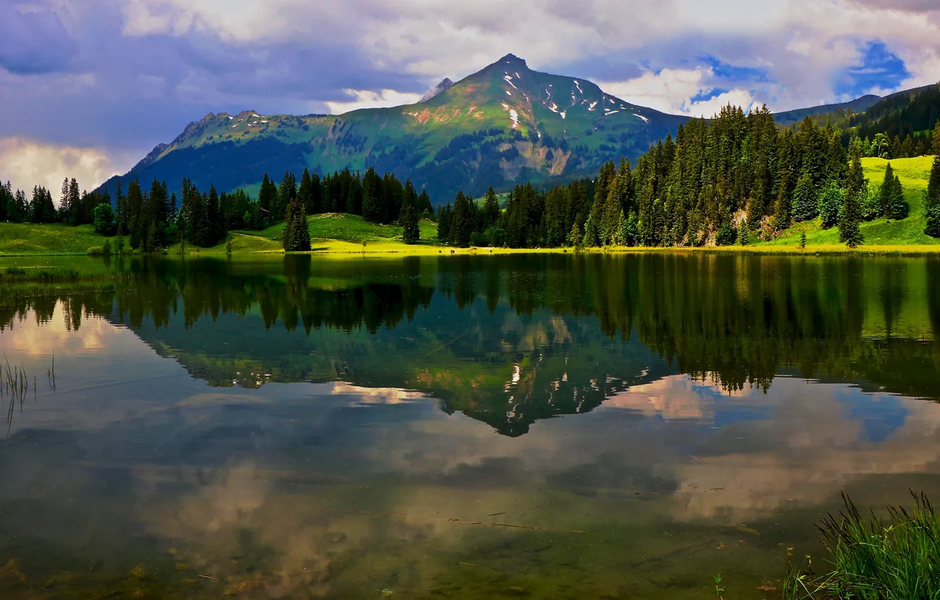Фото обои зелень, лес, лето, небо, облака, свет, горы, озеро