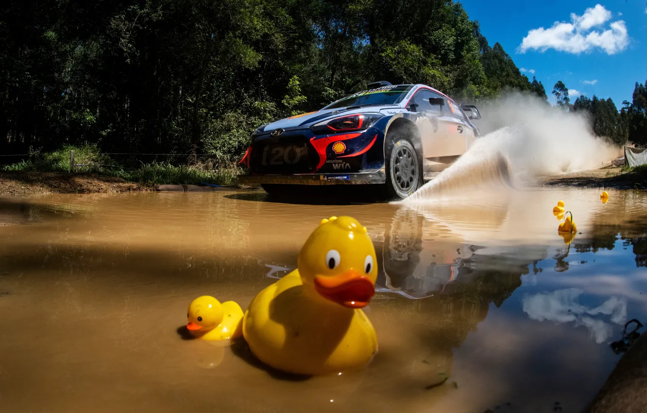 Фото обои Австралия, уточка, Neville, Hyundai i20 WRC, wrc 2018