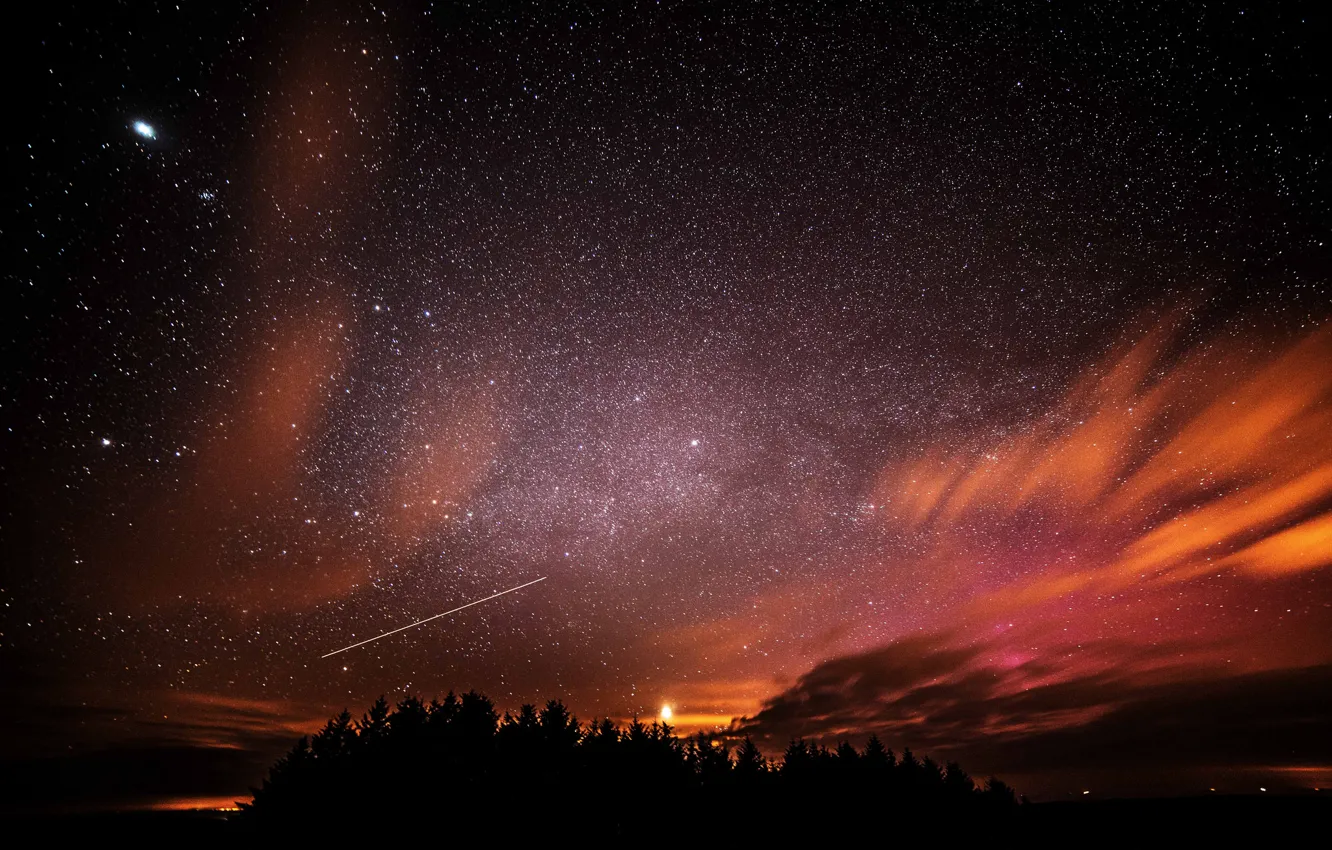Фото обои космос, звезды, деревья, ночь, пространство, силуэт