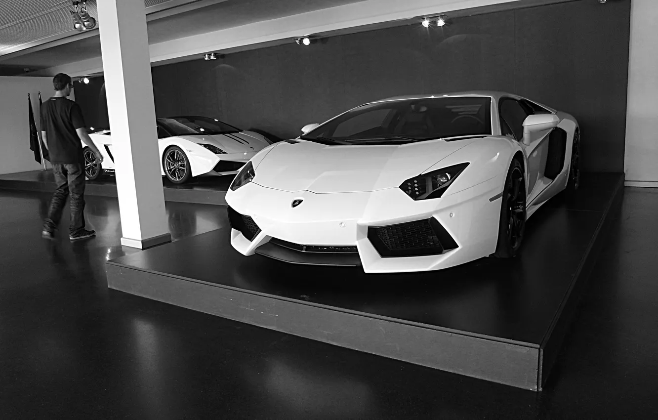 Фото обои white, lamborghini, aventador, goodlife