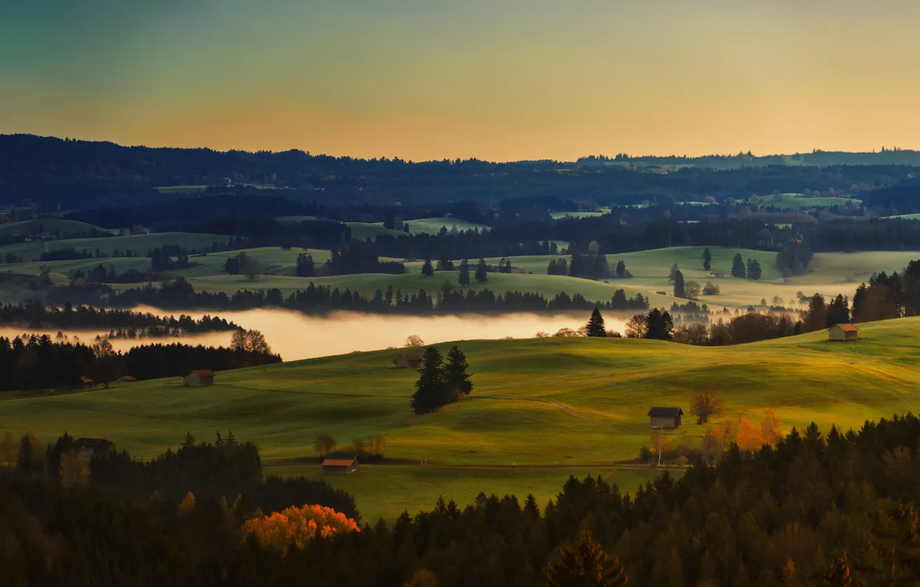 Фото обои поле, осень, лес, небо, туман, рассвет, холмы, берег