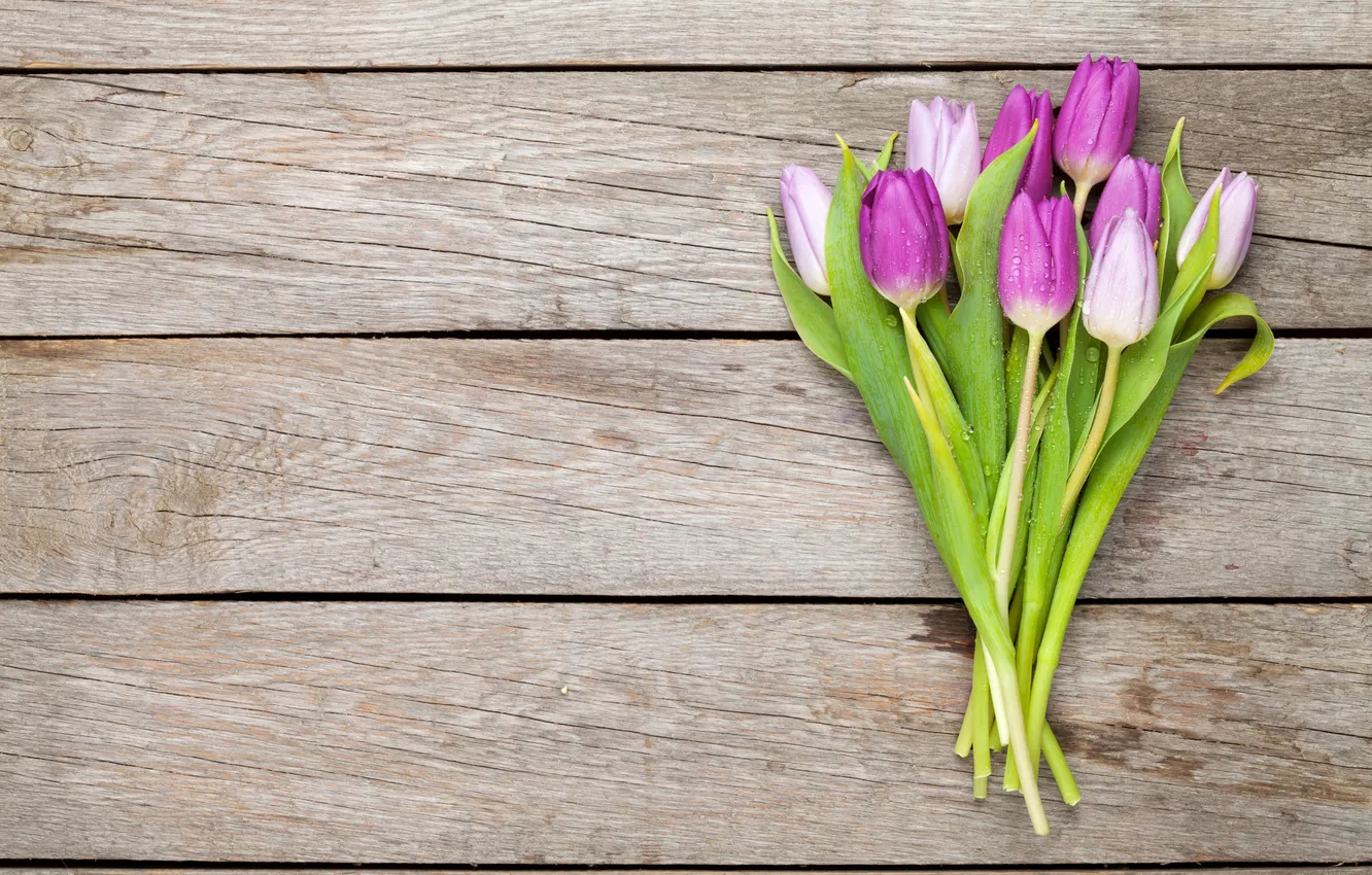 Фото обои цветы, букет, тюльпаны, wood, flowers, tulips, spring, purple