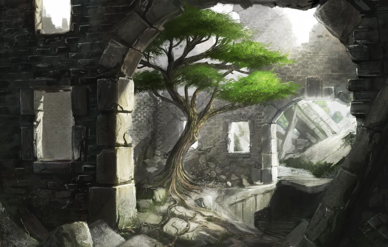 Фото обои свет, камни, дерево, арт, арка, руины, iidanmrak