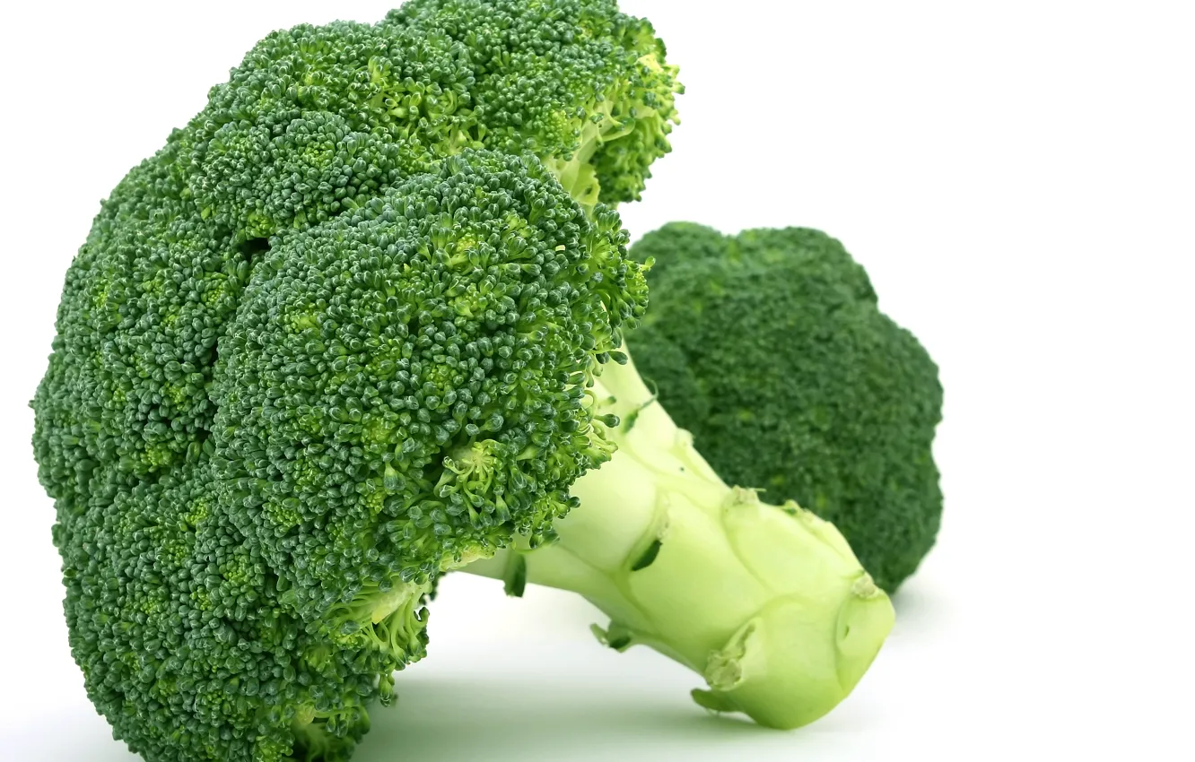 Фото обои капуста, broccoli, брокколи