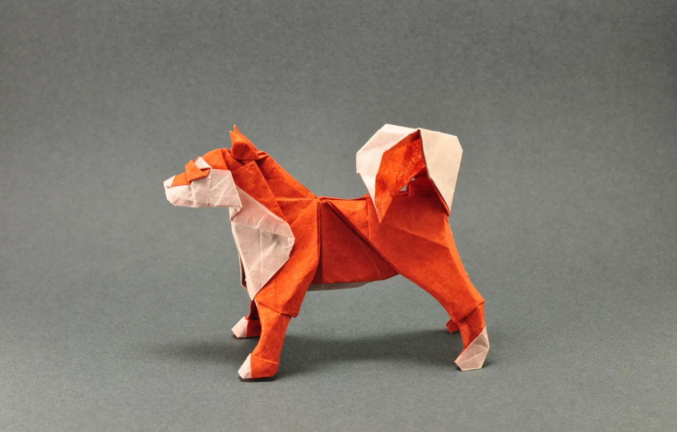 Фото обои оранжевый, серый, собака, хвост, оригами, dog, tail, orange