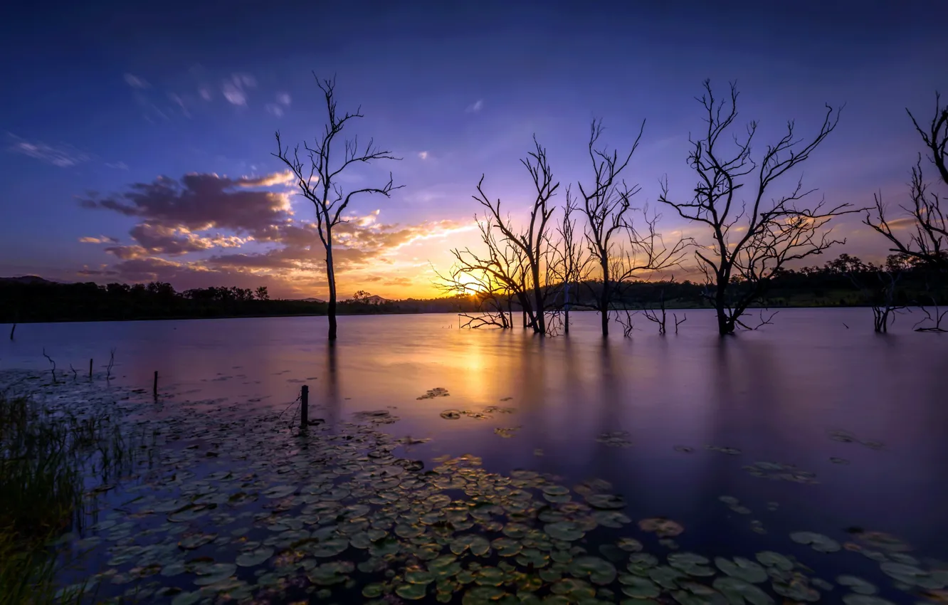 Фото обои небо, природа, вечер