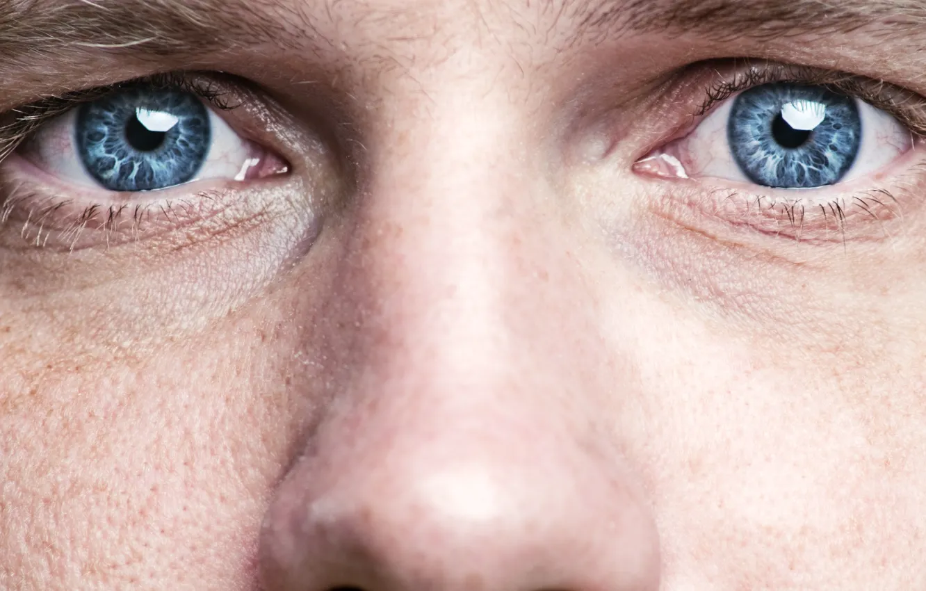Фото обои blue eyes, men, skin, nose