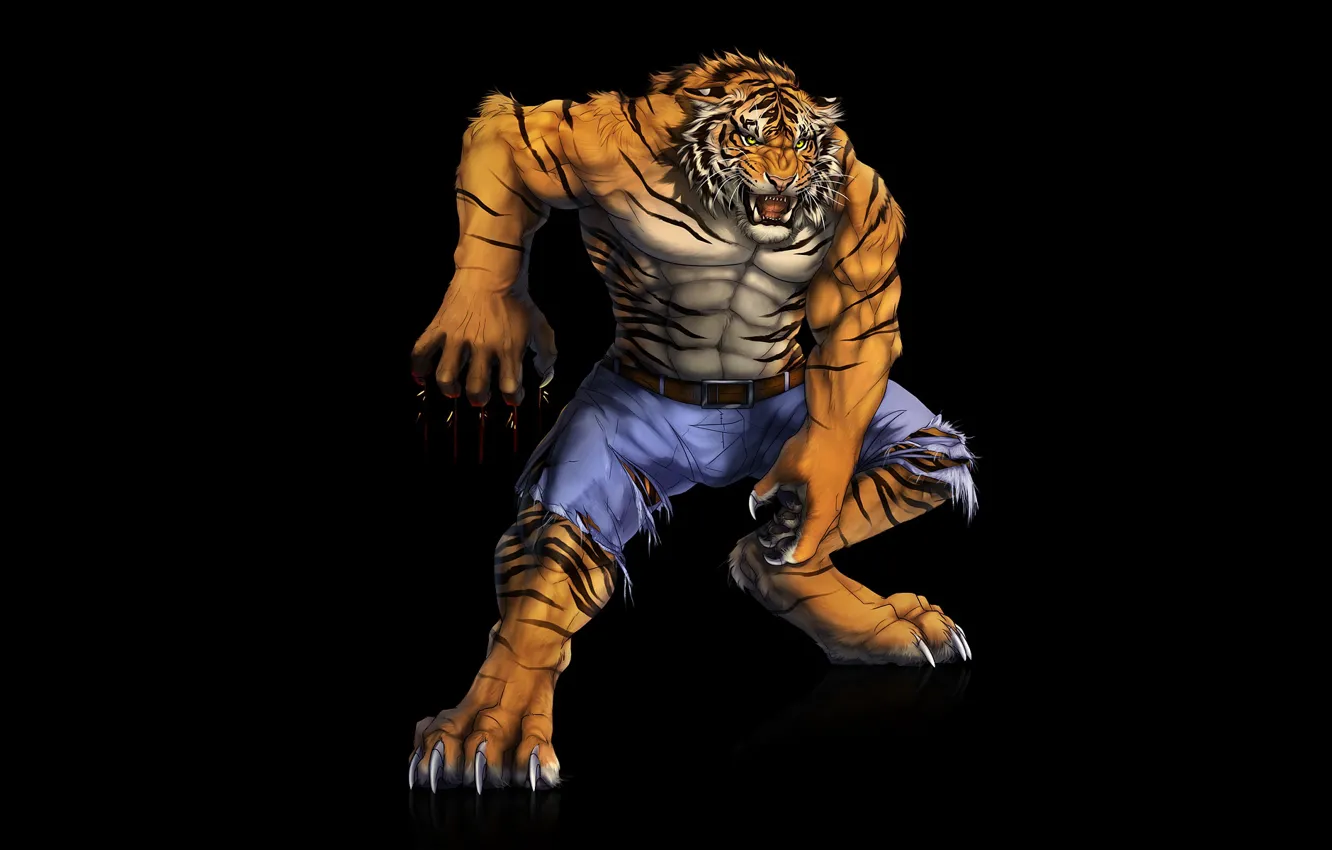 Фото обои тигр, хищник, мышцы