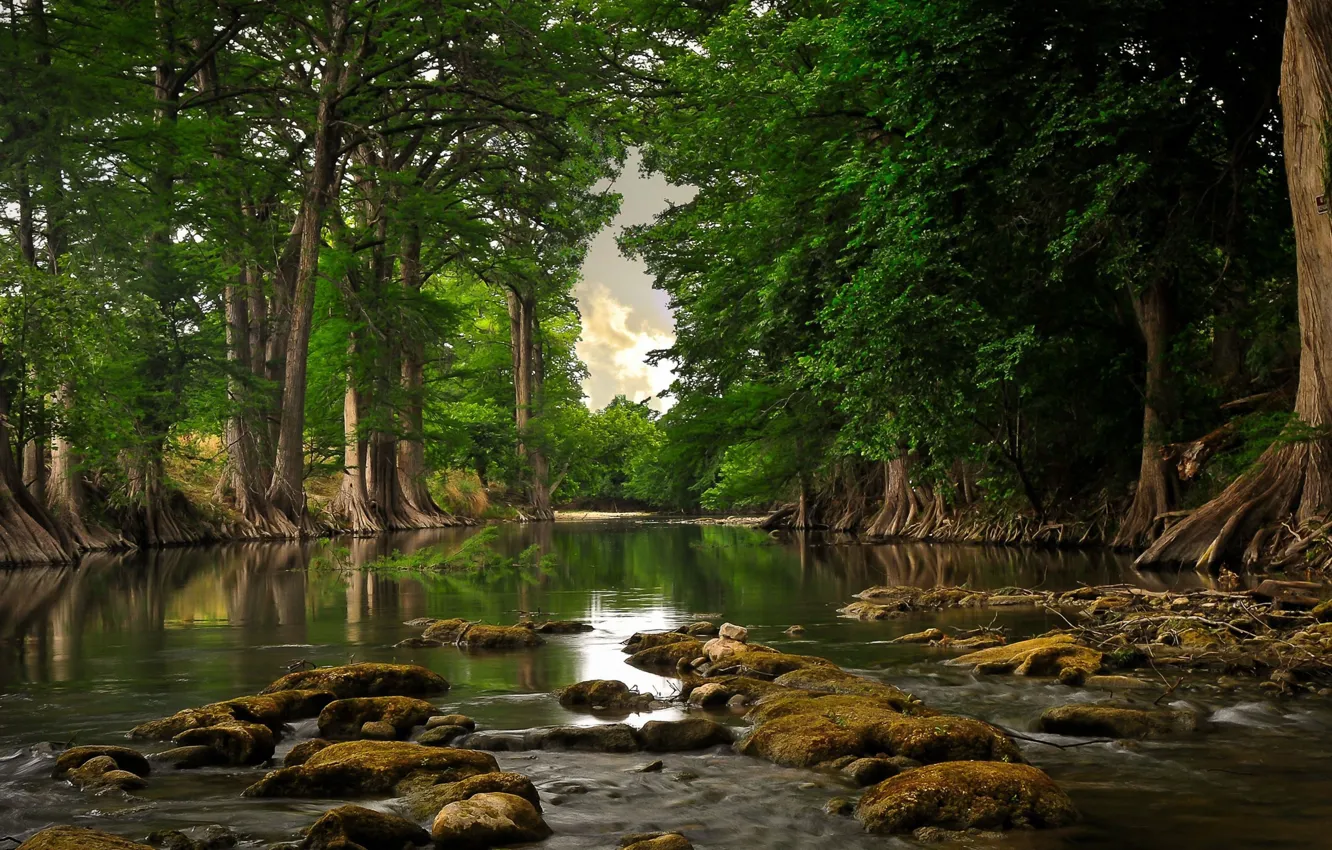 Фото обои Вода, Природа, Отражение, Трава, Деревья, Река, Листья, Камни