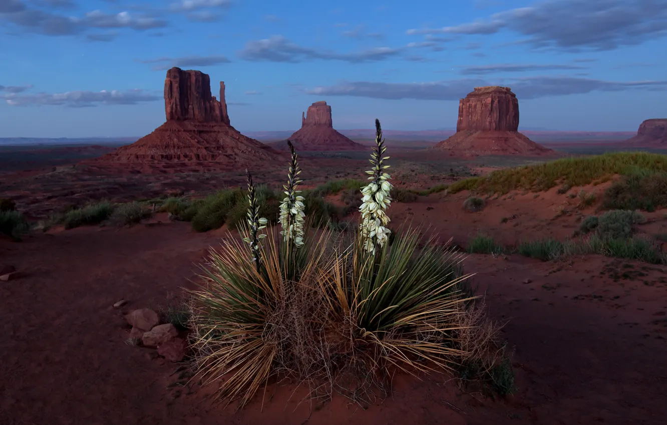 Фото обои Landscape, Blue Hour, Monument Valley