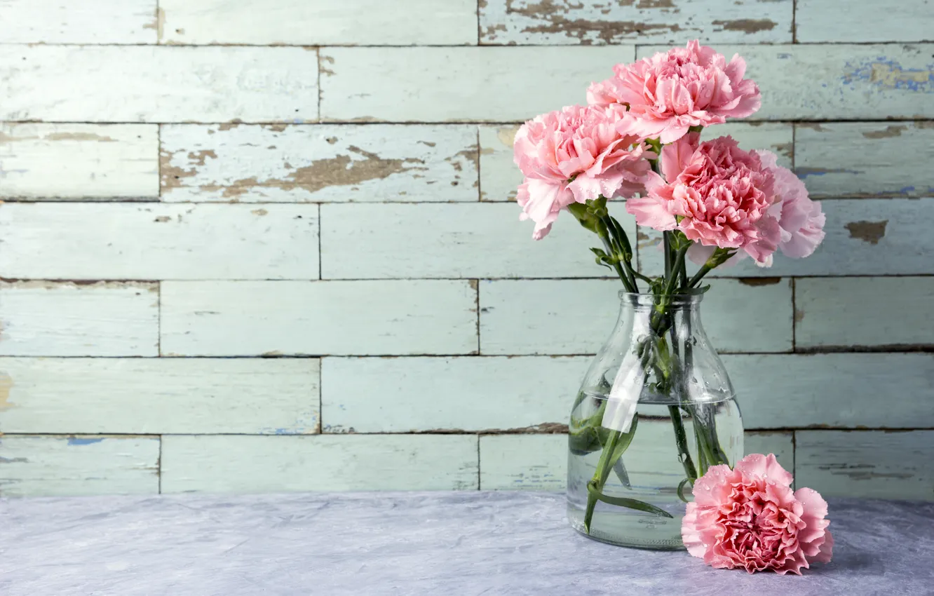 Фото обои цветы, букет, розовые, pink, flowers, beautiful, гвоздики, carnation