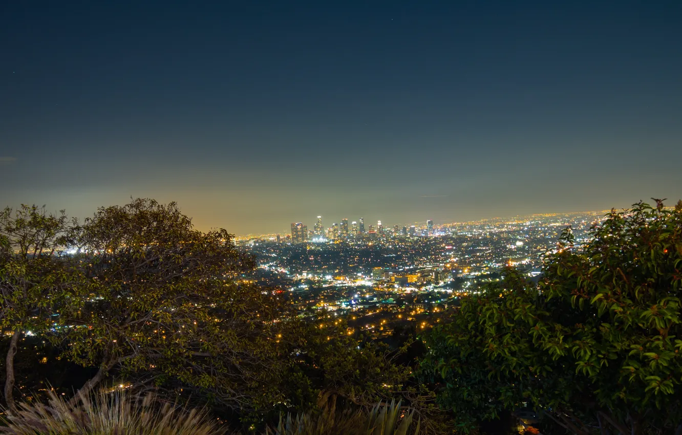 Фото обои Sky, Night, Los Angeles, Skyline, View, Trees