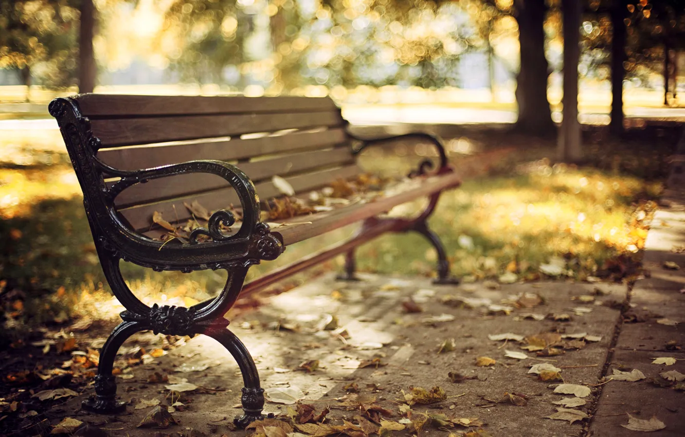 Фото обои осень, листья, деревья, скамейка, природа, парк, лавочка, сухие