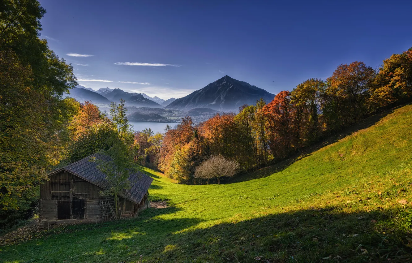Фото обои осень, деревья, горы, озеро, Швейцария, сарай, Switzerland, Lake Thun