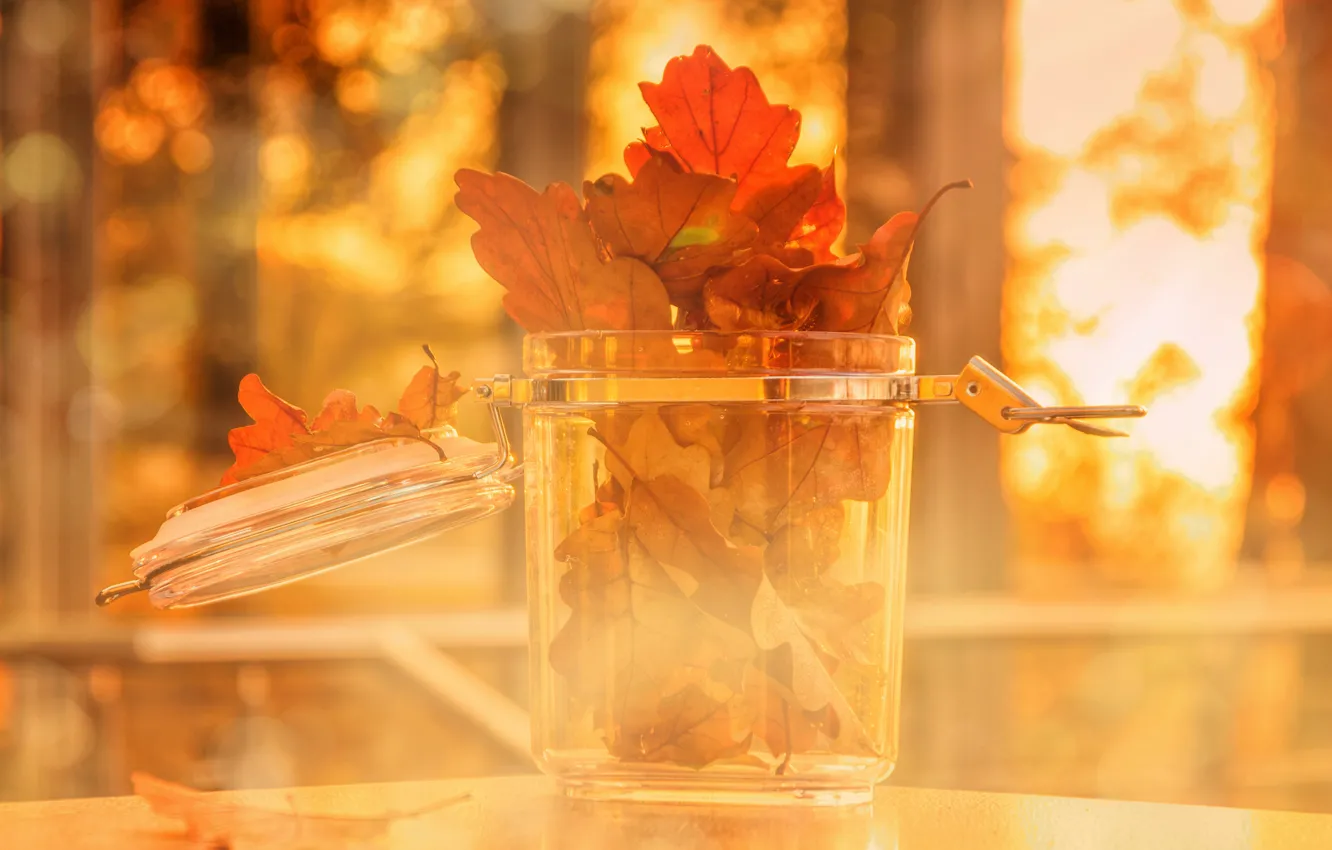 Фото обои осень, стекло, листья, свет, банка, оранжевые, боке, дубовые