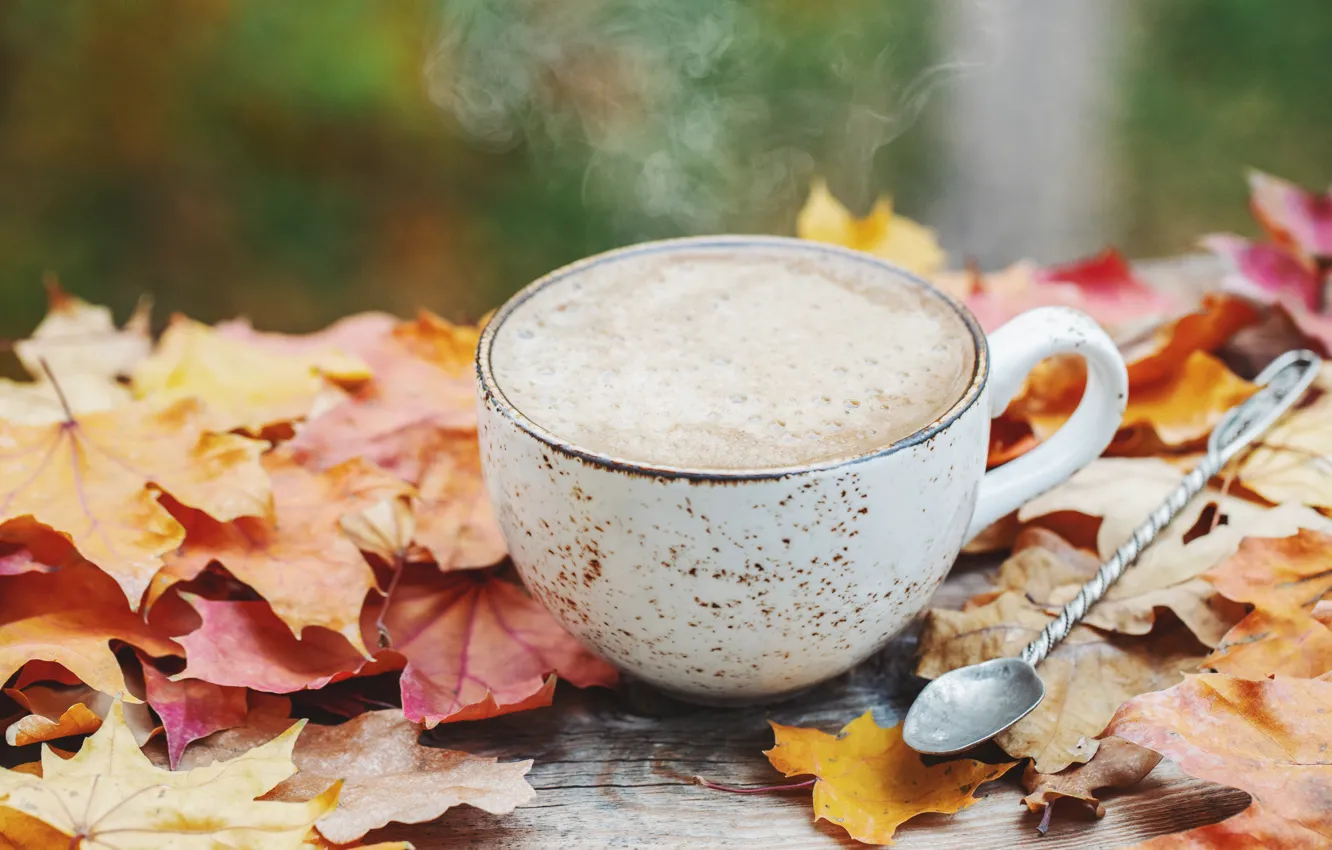 Фото обои осень, листья, wood, autumn, leaves, coffee cup, чашка кофе