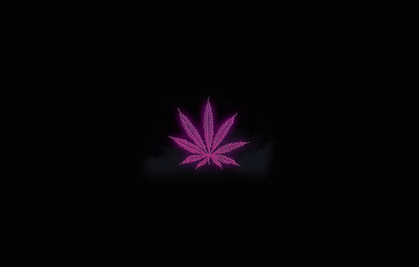 Фото обои Purple, Smoke, Swag, Bless, LEaves