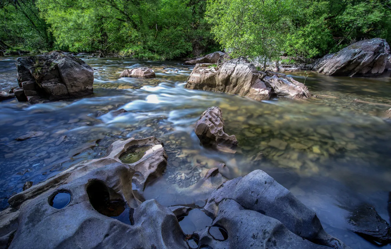 Фото обои лес, камни, речка, Уэльс, Snowdonia