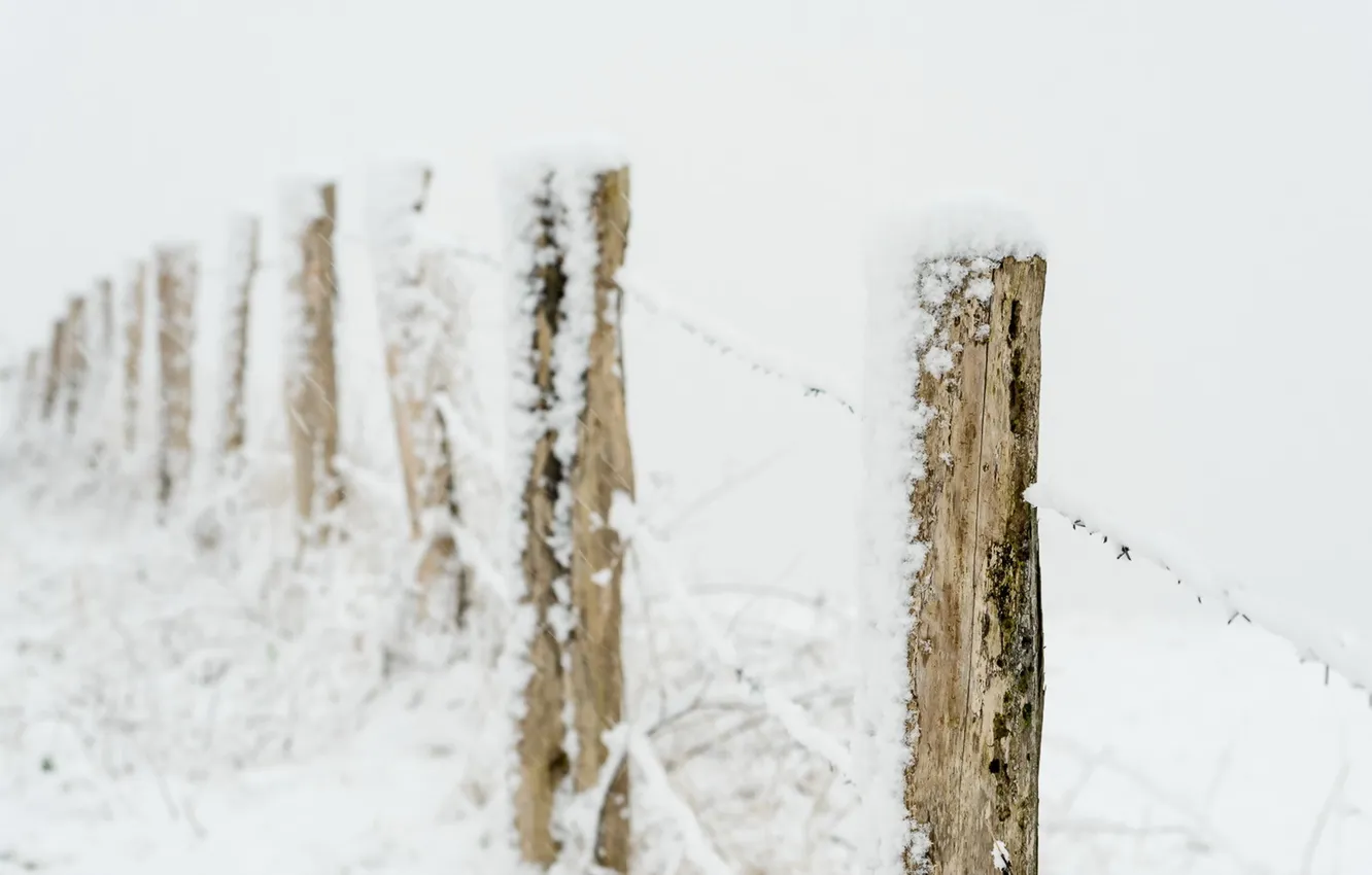 Фото обои зима, снег, забор