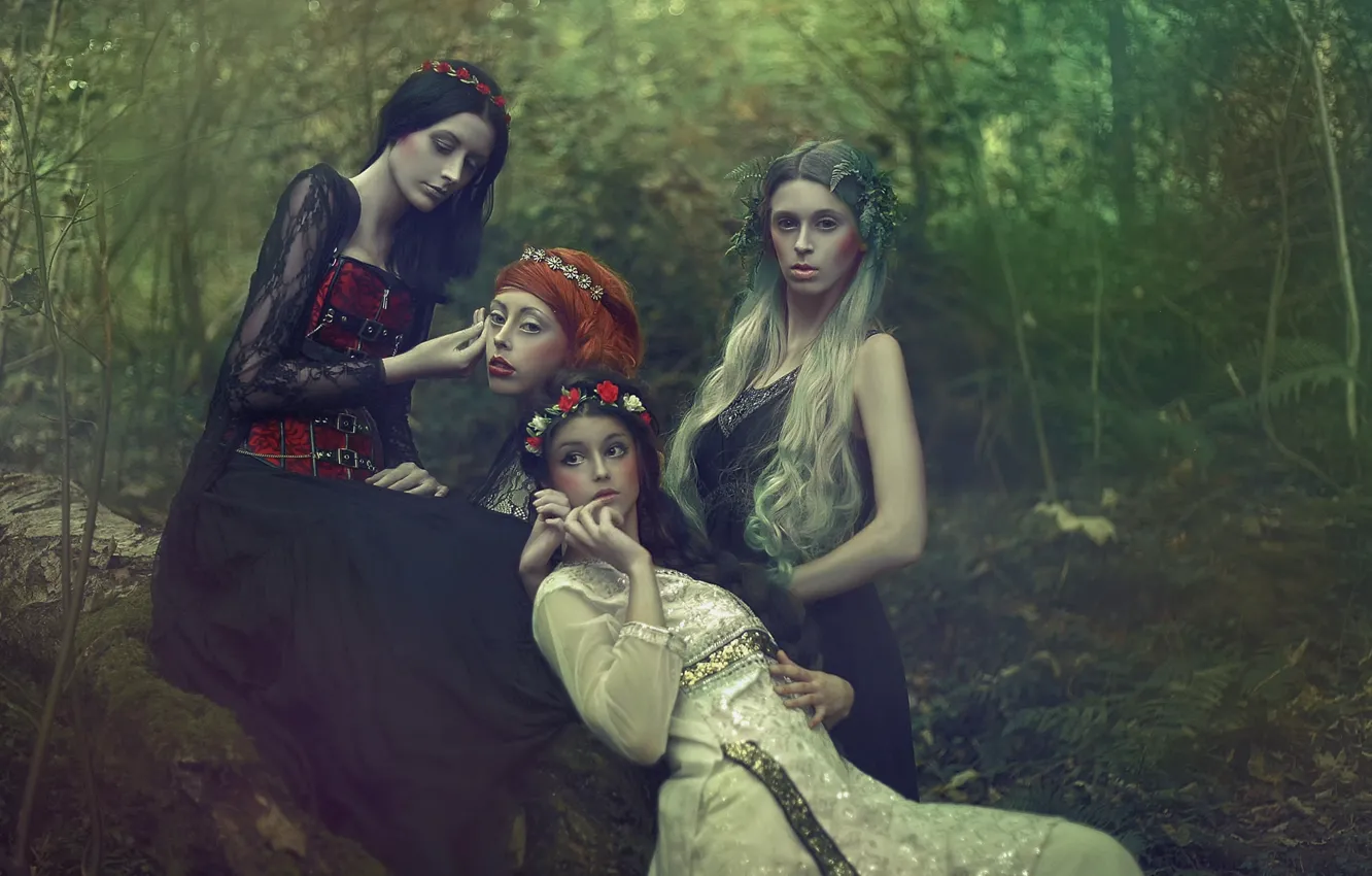 Фото обои фантазия, арт, Agnieszka Lorek, четыре девушки, Forest dream