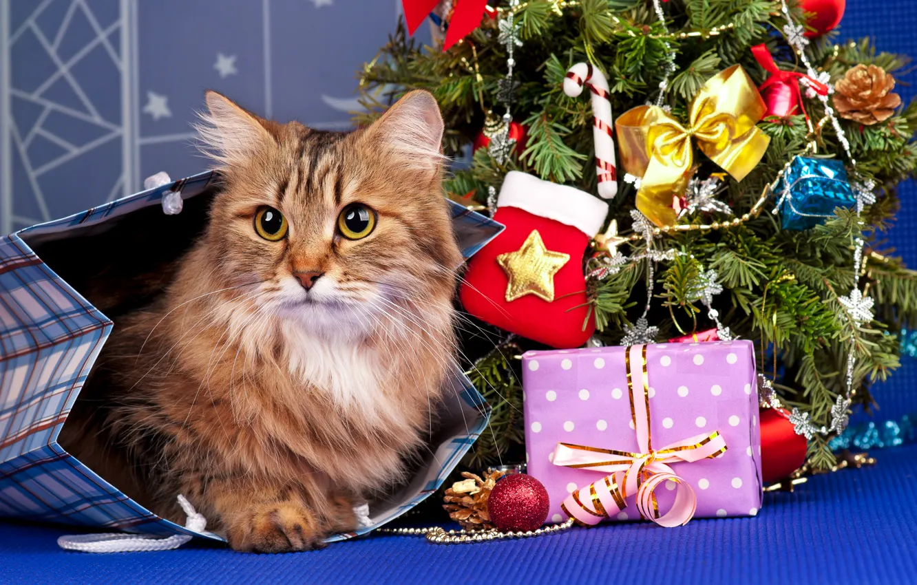 Фото обои кошка, кот, праздник, игрушки, елка, новый год, пакет, подарки