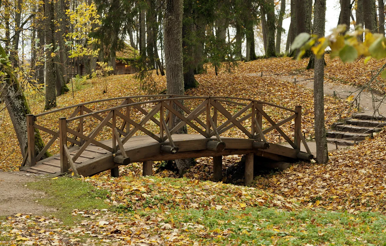 Фото обои осень, мост, природа, парк