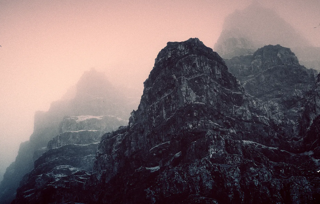 Фото обои birds, fog, mist, peaks