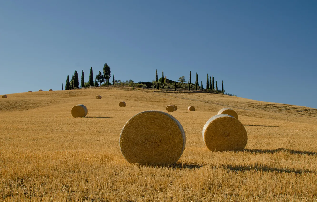 Фото обои поле, дом, стог, сено, Италия, кипарисы, Тоскана
