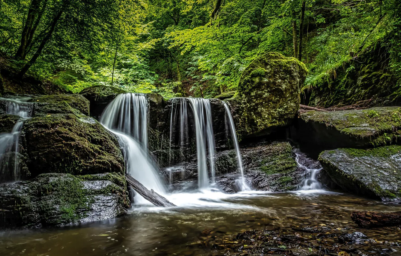 Фото обои лес, деревья, фото, водопад
