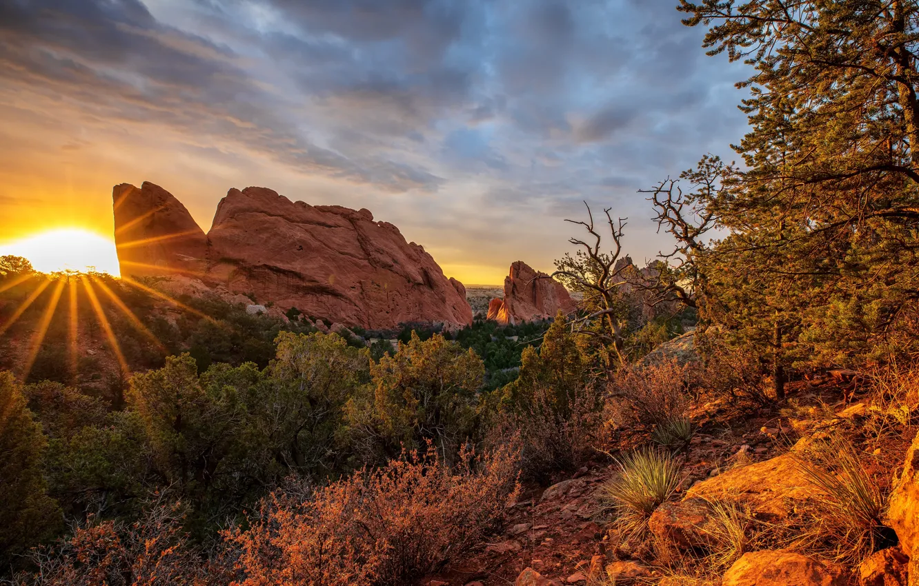 Фото обои осень, солнце, лучи, деревья, горы