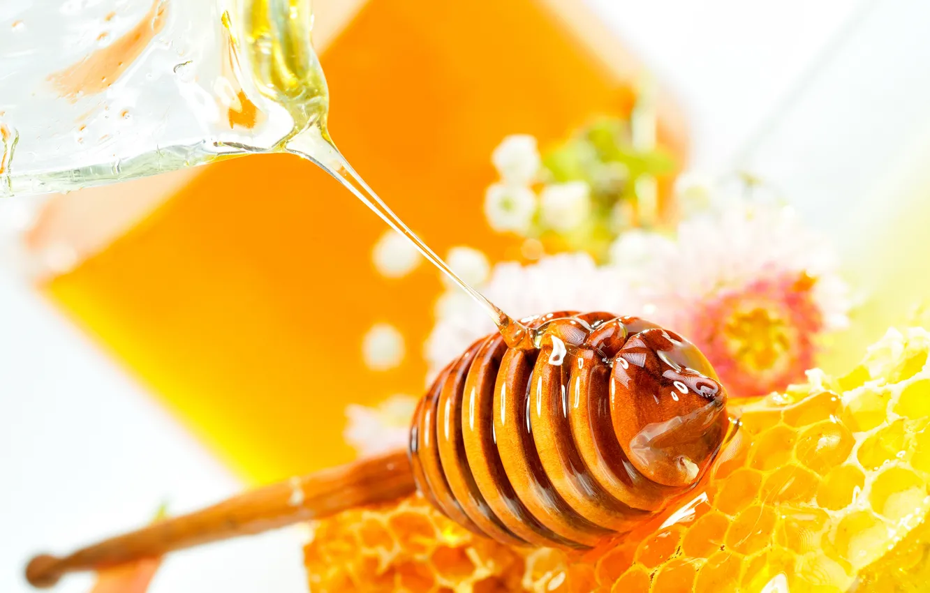 Фото обои цветы, соты, мед, honey dipper