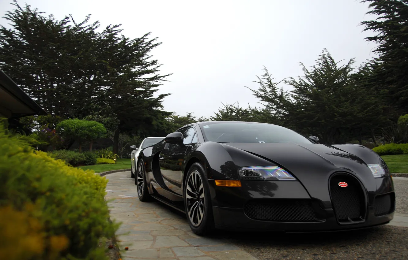 Фото обои парк, Bugatti, Veyron