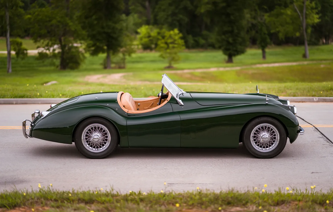 Фото обои Jaguar, 1954, XK120, Jaguar XK120 SE Roadster