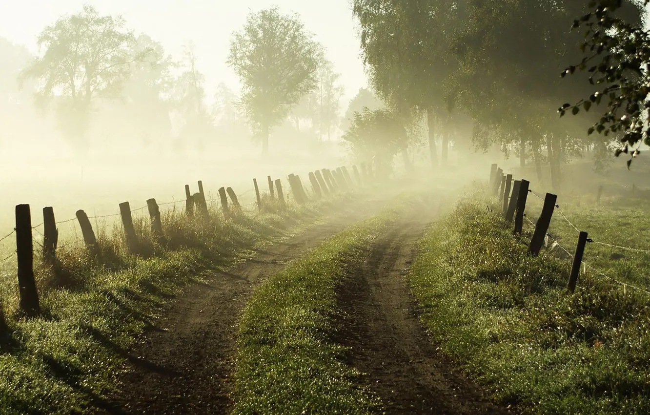 Фото обои дорога, трава, деревья, природа, туман, рассвет, забор, ограда