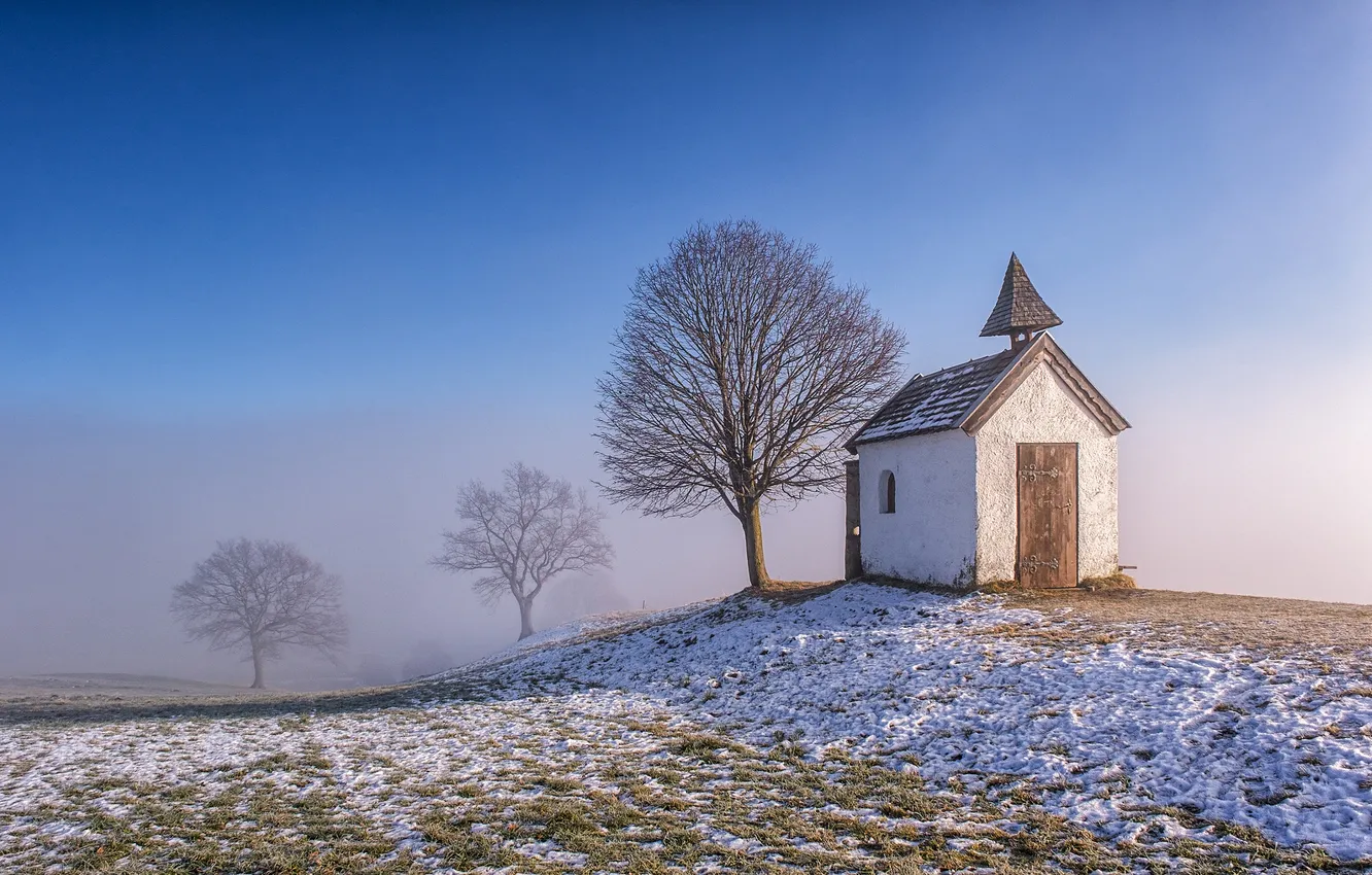 Фото обои зима, поле, небо, снег, деревья, природа, туман, синева