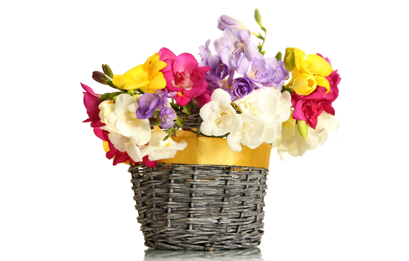 Фото обои цветы, корзина, букет, бант