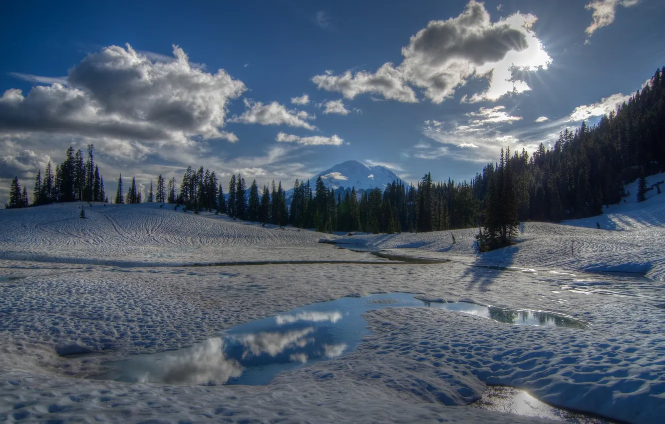 Фото обои зима, лес, снег, деревья, гора, Washington, Mount Rainier National Park, Tipsoo Lake