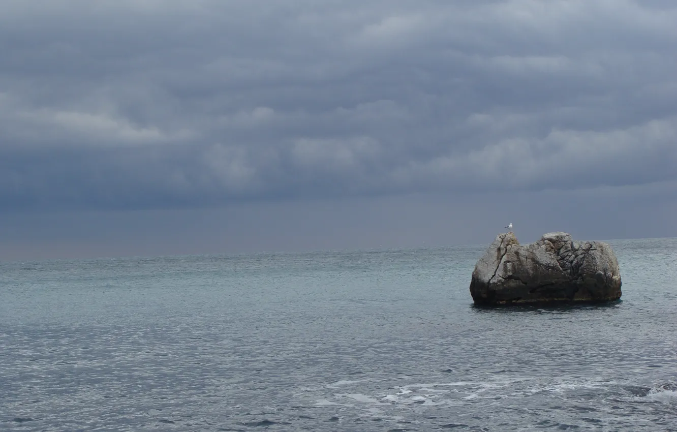 Фото обои море, шторм, камень, чайка