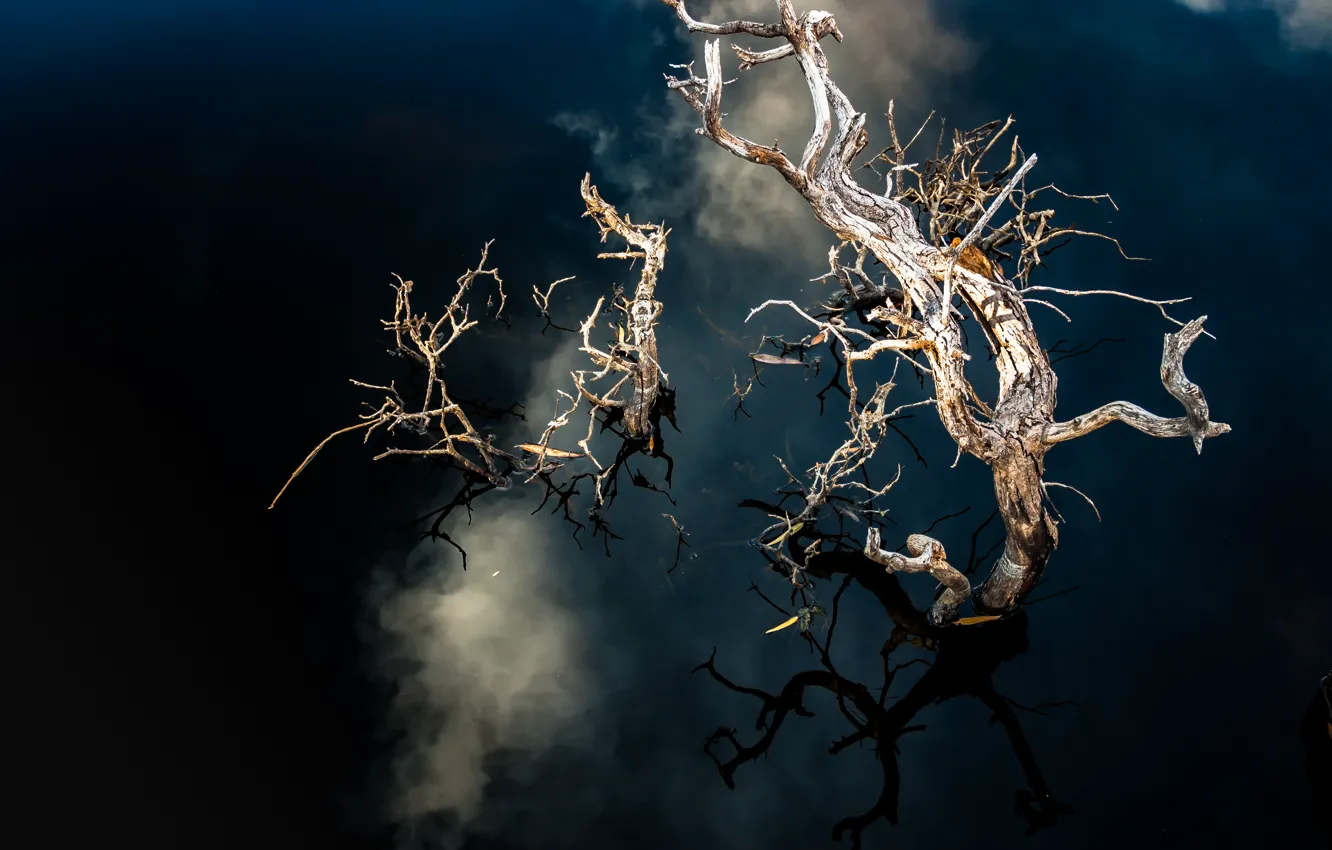 Фото обои United States, California, Joshua Tree National Park, cloudy reflection