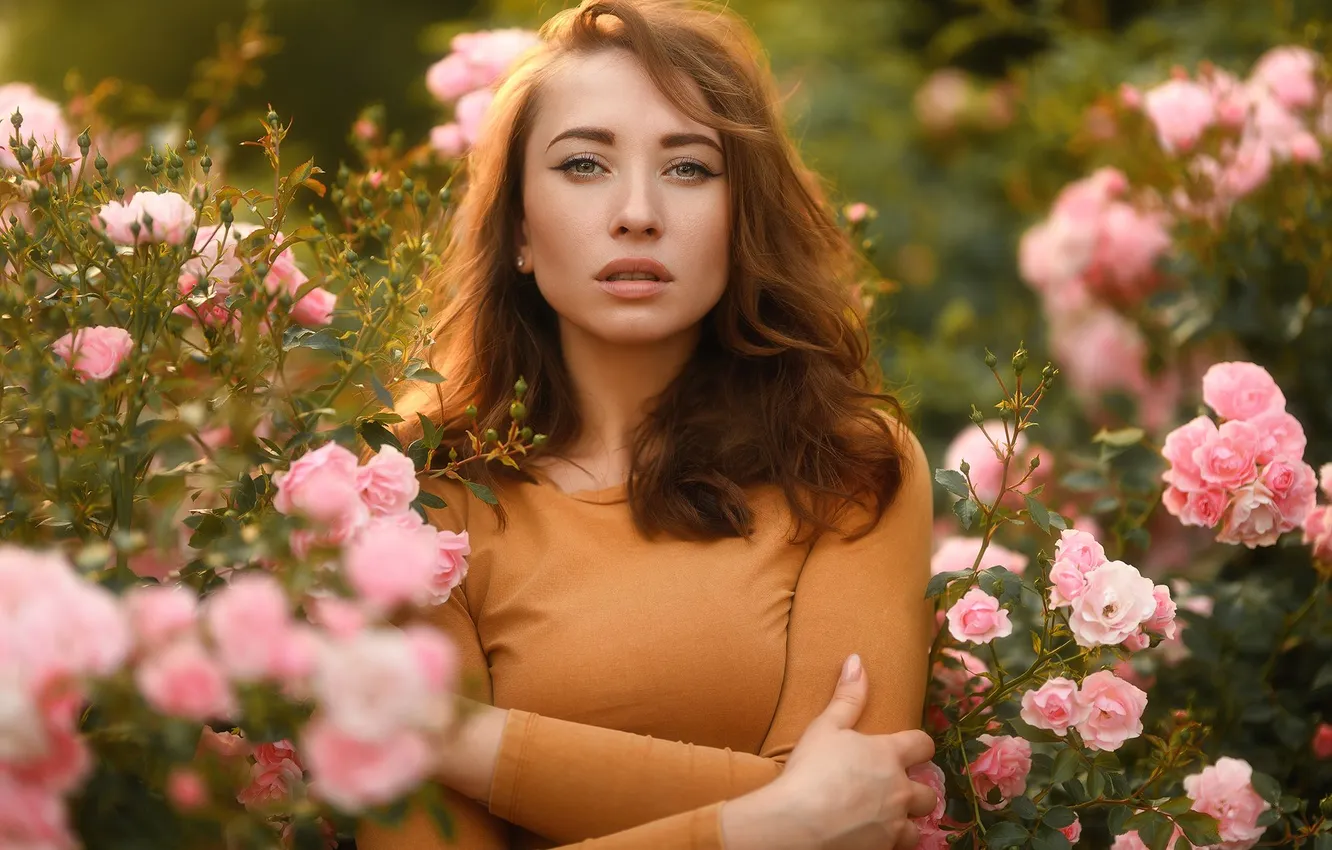 Фото обои модель, розы, Елена Жаркова