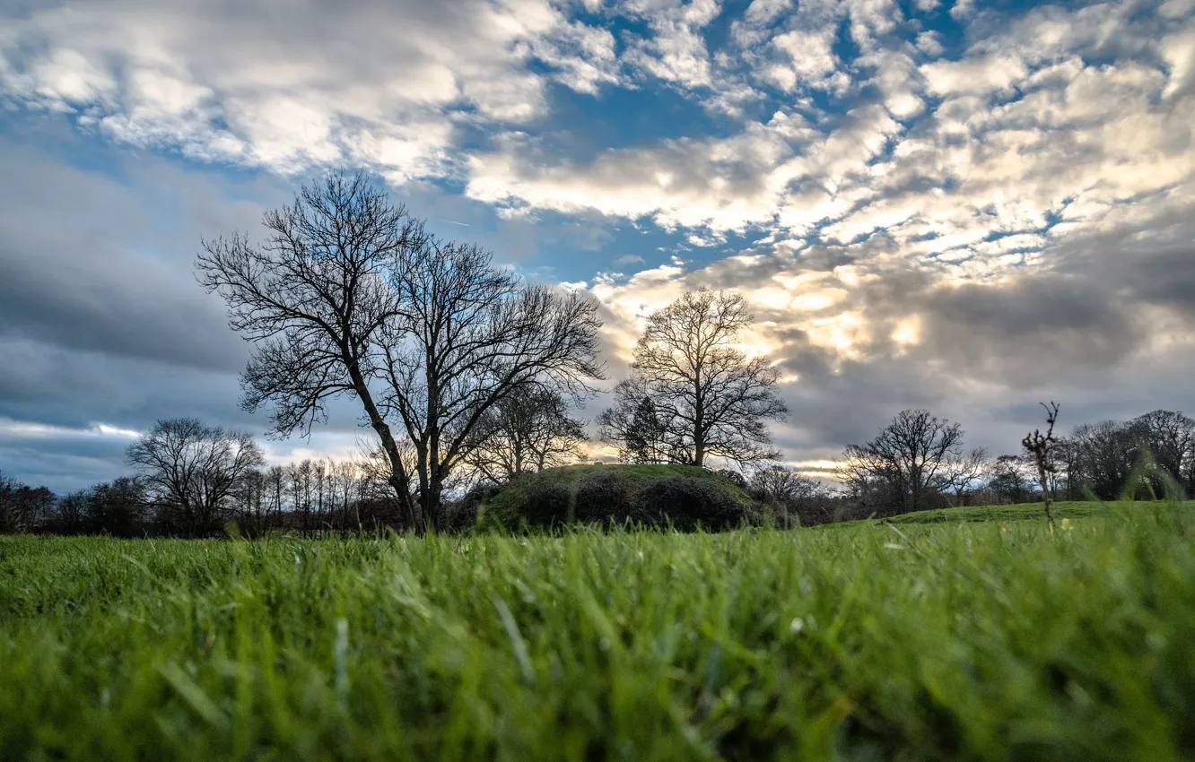 Фото обои поле, небо, трава, облака, деревья, Англия, Herefordshire, Almeley