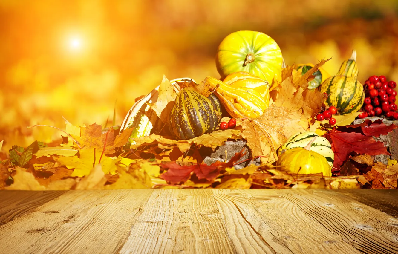 Фото обои осень, тыквы, листики, рябина