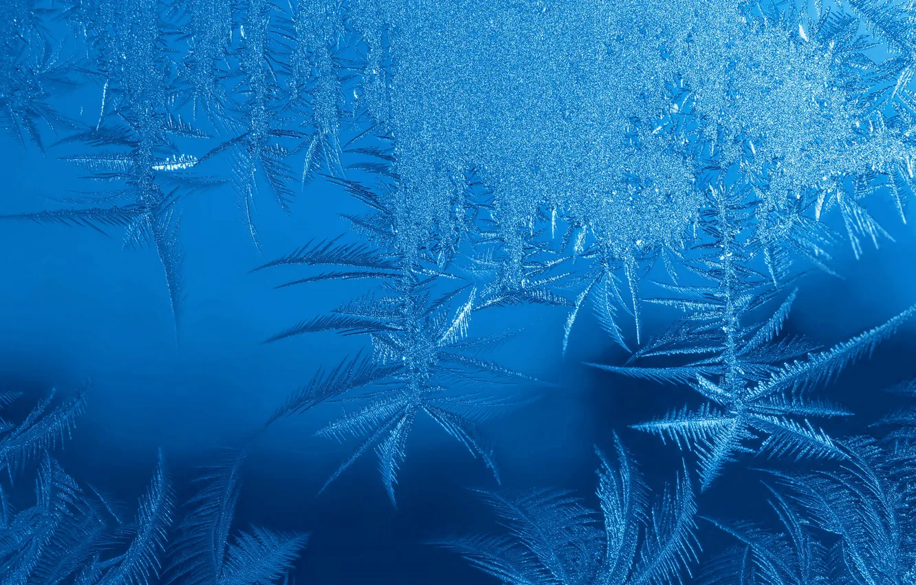 Фото обои холод, зима, иней, стекло, снег, снежинки, узор, лёд