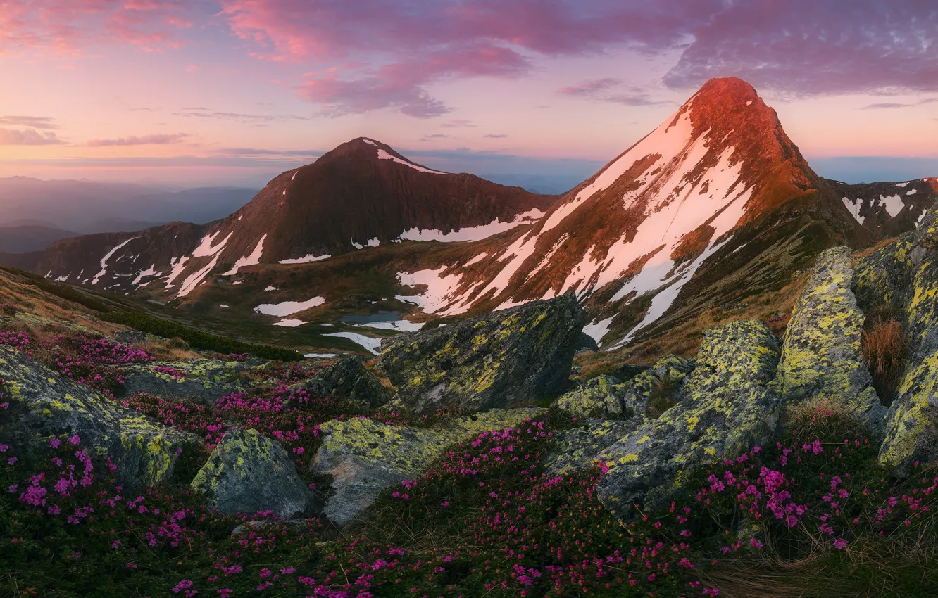 Фото обои пейзаж, горы, природа, рассвет, растительность, весна, утро, цветение