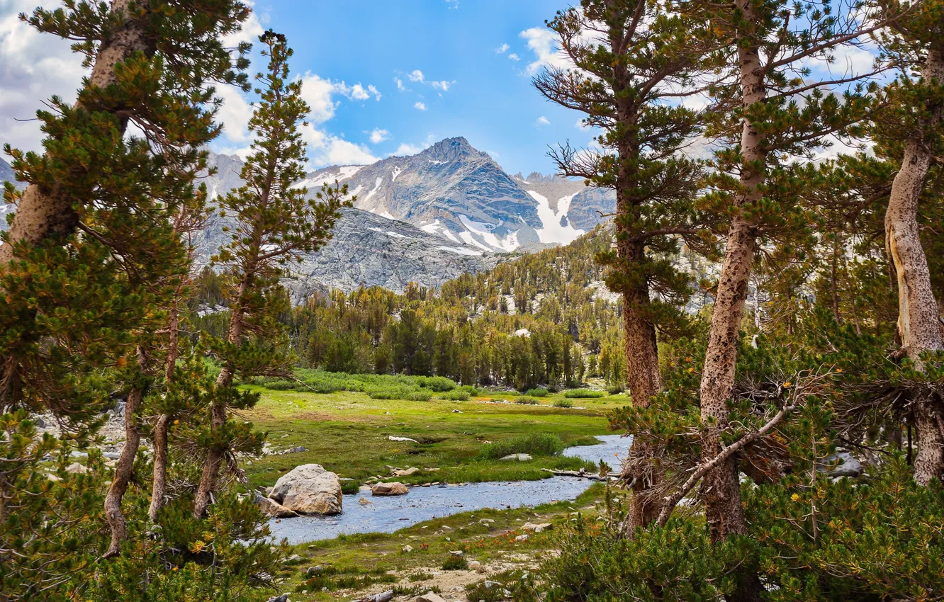 Фото обои небо, деревья, река