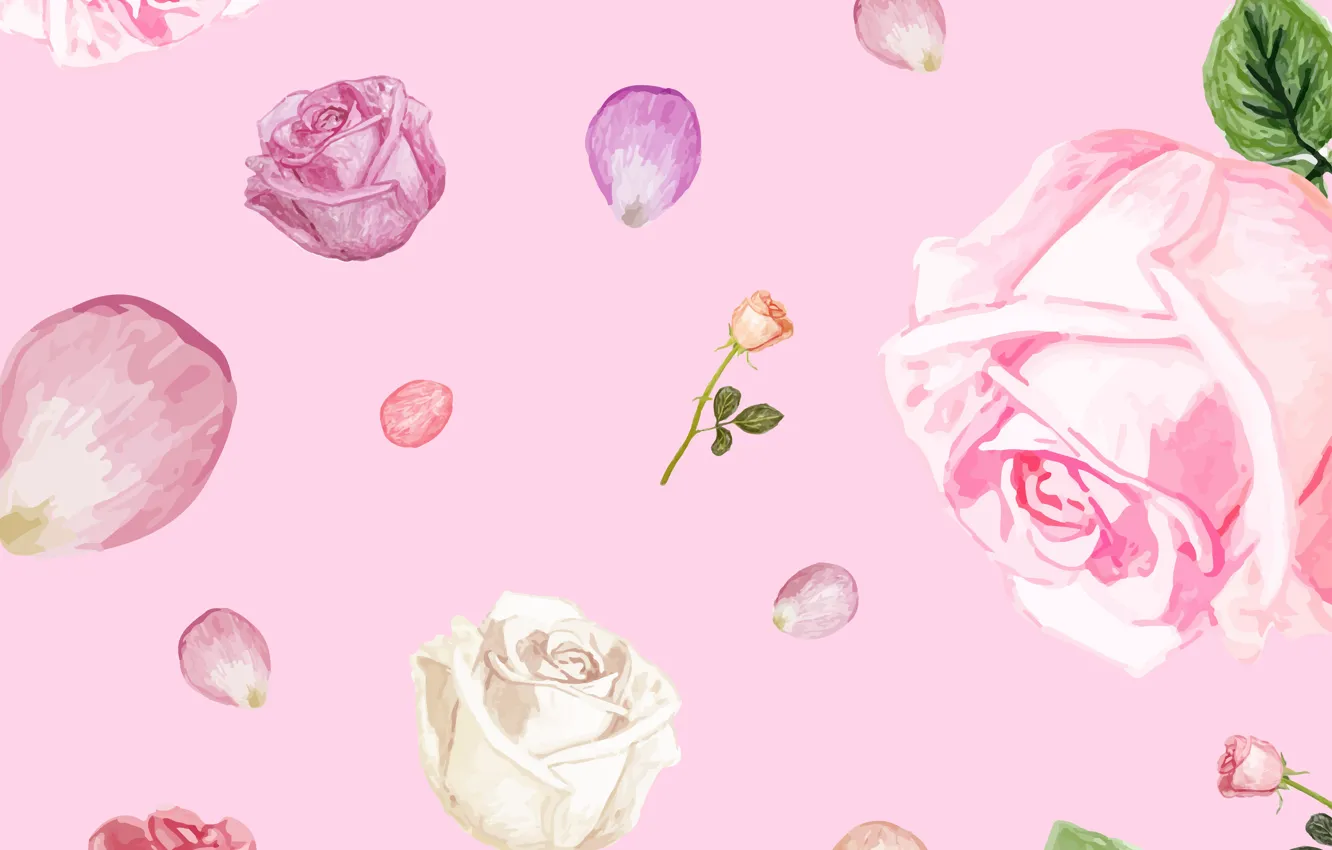 Фото обои фон, розовый, розы, текстура, лепестки, бутоны