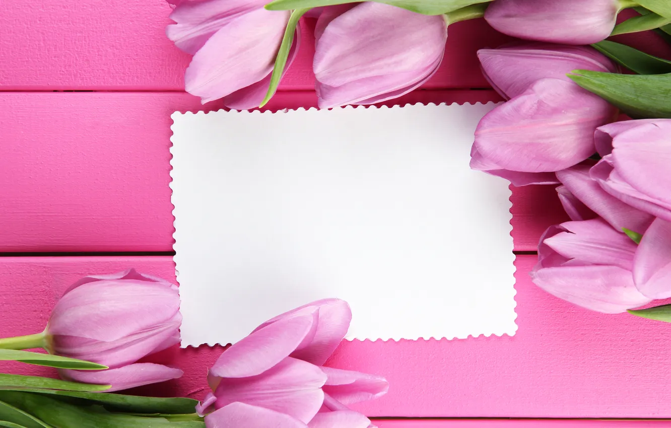 Фото обои цветы, букет, тюльпаны, розовые, wood, pink, flowers, beautiful