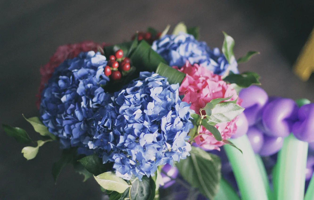 Фото обои цветы, лепестки, голубые