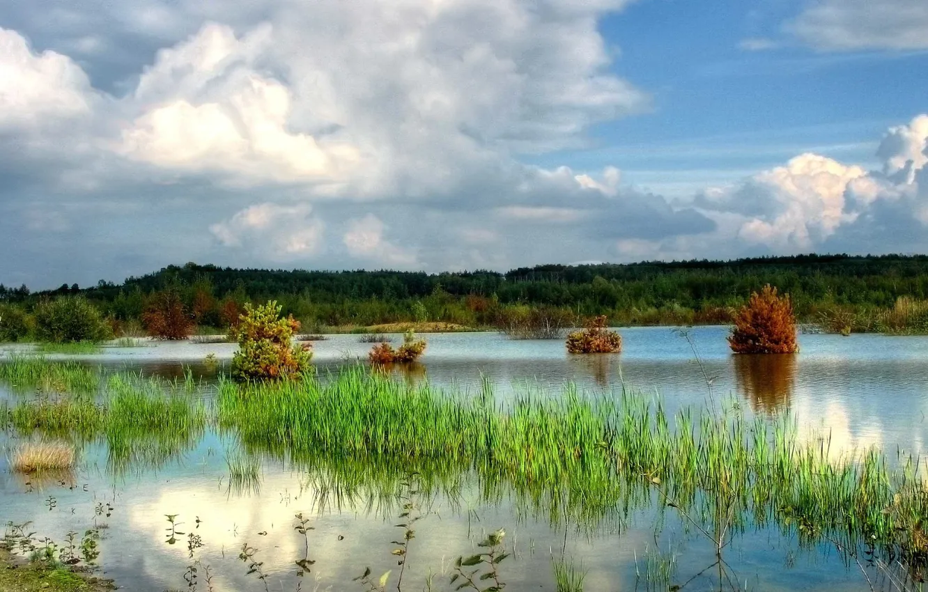 Фото обои лето, вода, деревья, река, фото, холм, кусты